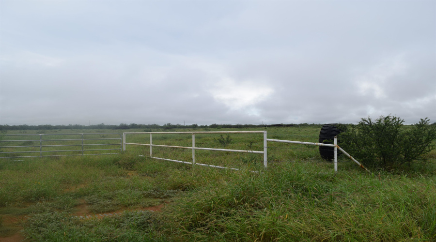 Lot 5 High Caliber Estates Dr., Laredo, Texas 78045, ,Land,For Sale,Lot 5 High Caliber Estates Dr.,20262684