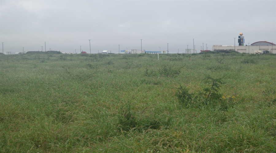Lot 5 High Caliber Estates Dr., Laredo, Texas 78045, ,Land,For Sale,Lot 5 High Caliber Estates Dr.,20262684
