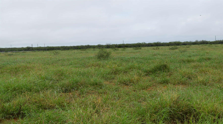 Lot 5 High Caliber Estates Dr., Laredo, Texas 78045, ,Land,For Sale,Lot 5 High Caliber Estates Dr.,20262684