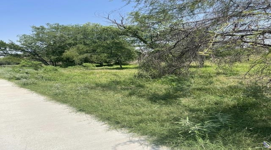 307 Muller Memorial Blvd, Laredo TX, Texas 78045-4119, ,Land,For Sale,307 Muller Memorial Blvd,20242125
