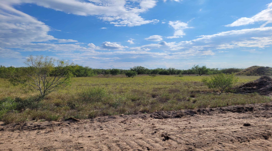 1000 ABST 1637 SUR 471, Aguilares, Texas 78369, ,Land,For Sale,1000 ABST 1637 SUR 471,20262698