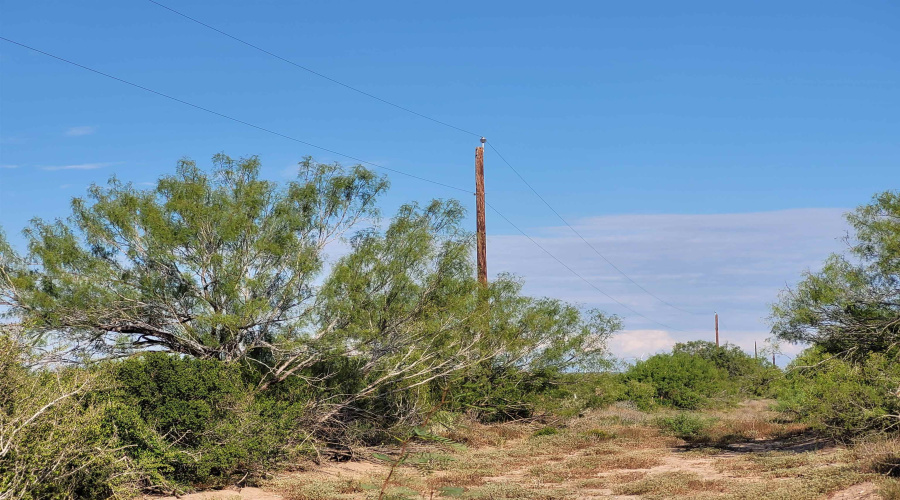 1000 ABST 1637 SUR 471, Aguilares, Texas 78369, ,Land,For Sale,1000 ABST 1637 SUR 471,20262698
