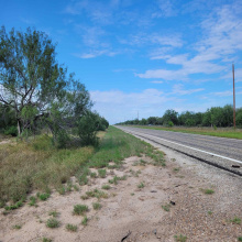 1000 ABST 1637 SUR 471, Aguilares, Texas 78369, ,Land,For Sale,1000 ABST 1637 SUR 471,20262698