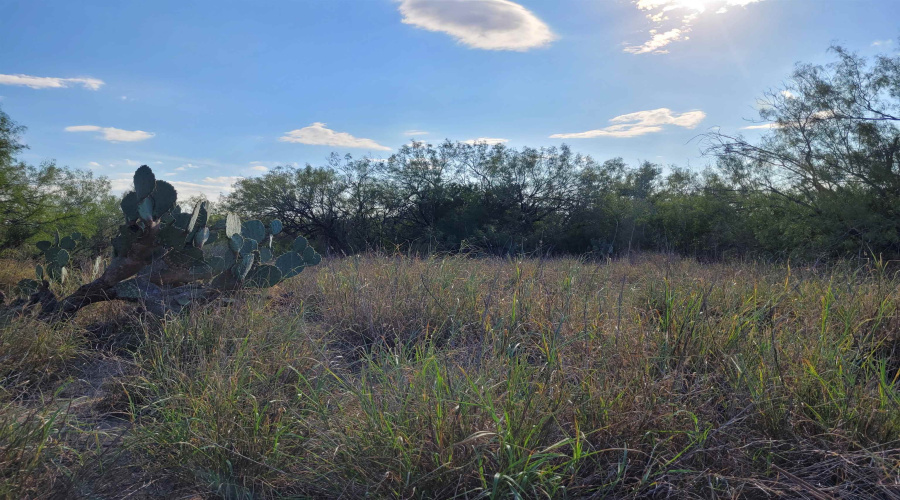 1000 ABST 1637 SUR 471, Aguilares, Texas 78369, ,Land,For Sale,1000 ABST 1637 SUR 471,20262698