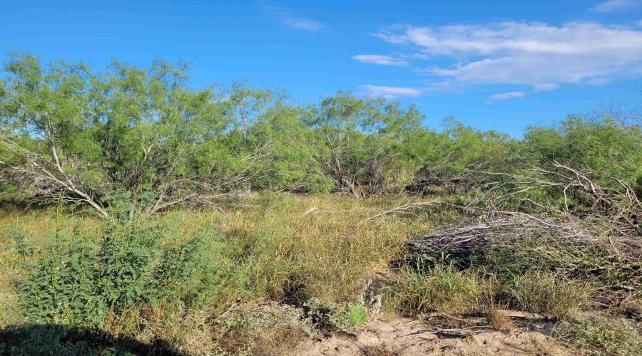 1000 ABST 1637 SUR 471, Aguilares, Texas 78369, ,Land,For Sale,1000 ABST 1637 SUR 471,20262698