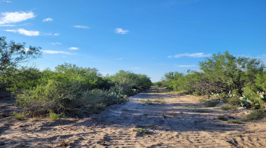 1000 ABST 1637 SUR 471, Aguilares, Texas 78369, ,Land,For Sale,1000 ABST 1637 SUR 471,20262698