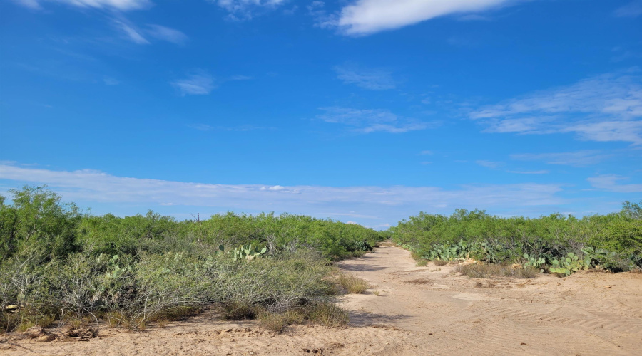 1000 ABST 1637 SUR 471, Aguilares, Texas 78369, ,Land,For Sale,1000 ABST 1637 SUR 471,20262698