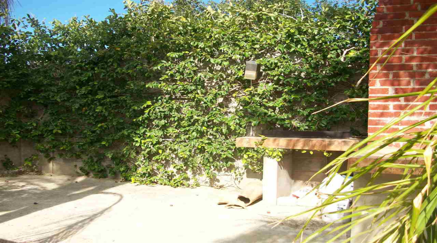 3916 Calle Guadalajara, Laredo, Texas 78046, 3 Bedrooms Bedrooms, 7 Rooms Rooms,2 BathroomsBathrooms,Residential,For Rent,3916 Calle Guadalajara,20262696