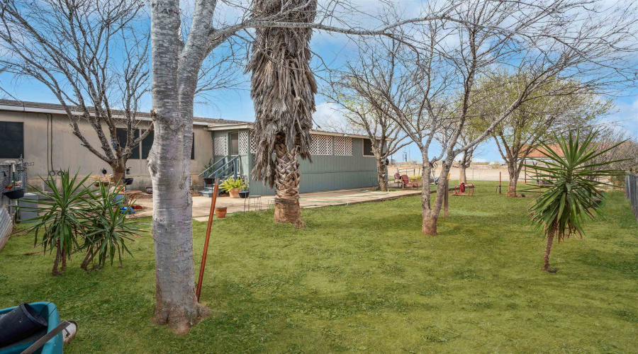 25189 IH 35 Frontage, Encinal, Texas 78019, ,Land,For Sale,25189 IH 35 Frontage,20262756
