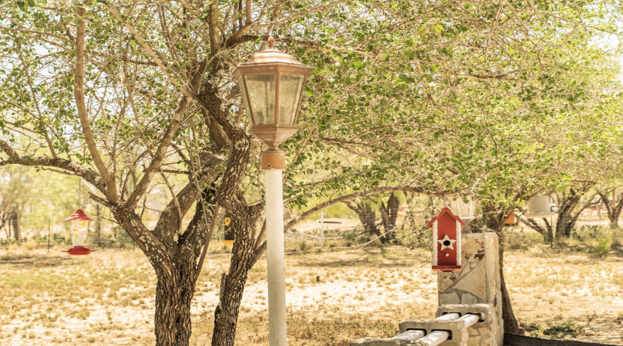 122 Pearson Moss Ln, Laredo, Texas 78045, ,Land,For Sale,122 Pearson Moss Ln,20262774
