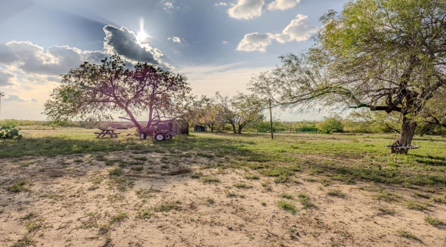 122 Pearson Moss Ln, Laredo, Texas 78045, ,Land,For Sale,122 Pearson Moss Ln,20262774