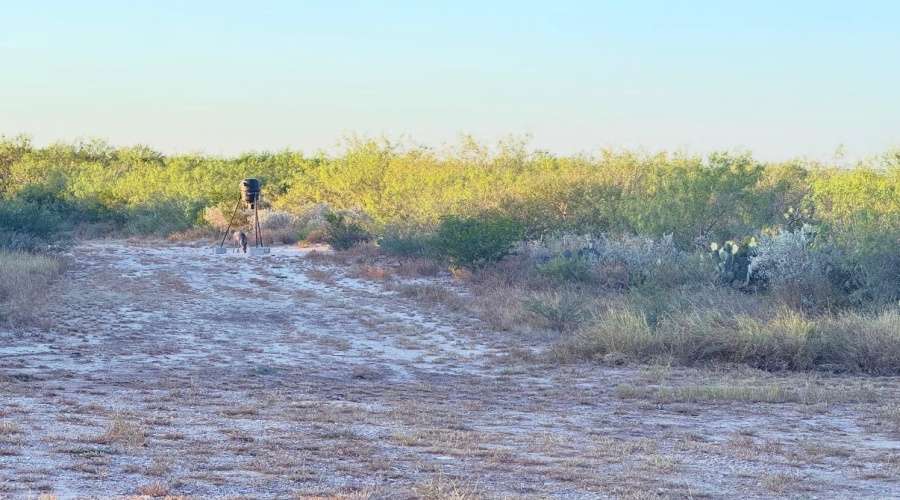 Acres 27.92 Zapata Hwy, Zapata, Texas 78076, ,Land,For Sale,Acres 27.92 Zapata Hwy,20262788