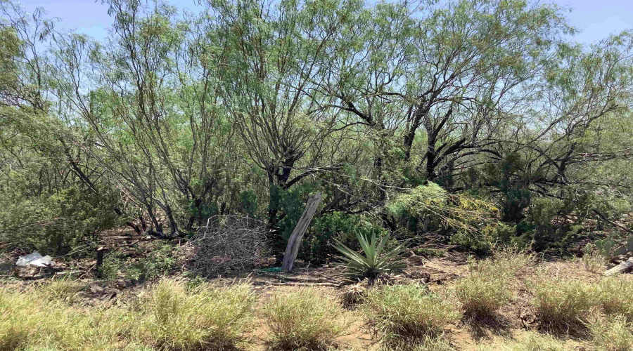 20331 N US Highway 83, Laredo, Texas 78040, ,Land,For Sale,20331 N US Highway 83,20262789