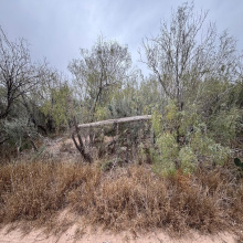 Lot 59 Los Fresnos, Laredo, Texas 78046, ,Land,For Sale,Lot 59 Los Fresnos,20262792