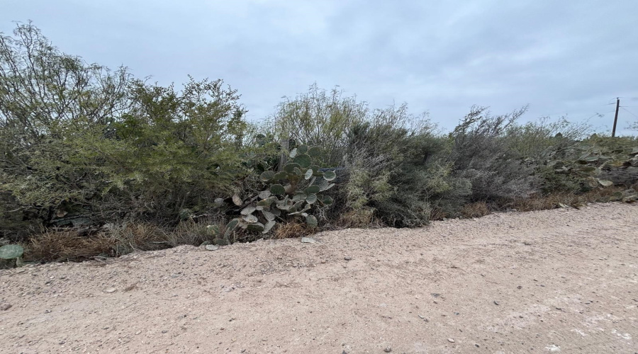 Lot 60 Los Fresnos, Laredo, Texas 78046, ,Land,For Sale,Lot 60 Los Fresnos,20262793