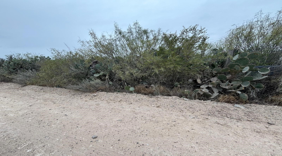 Lot 60 Los Fresnos, Laredo, Texas 78046, ,Land,For Sale,Lot 60 Los Fresnos,20262793