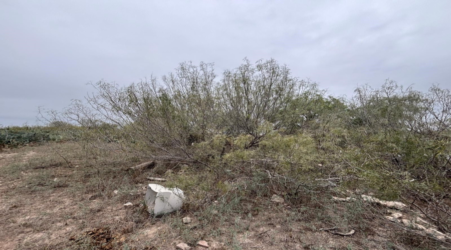 Lot 60 Los Fresnos, Laredo, Texas 78046, ,Land,For Sale,Lot 60 Los Fresnos,20262793