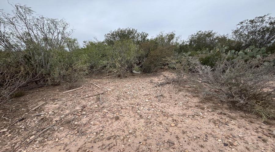 Lot 60 Los Fresnos, Laredo, Texas 78046, ,Land,For Sale,Lot 60 Los Fresnos,20262793