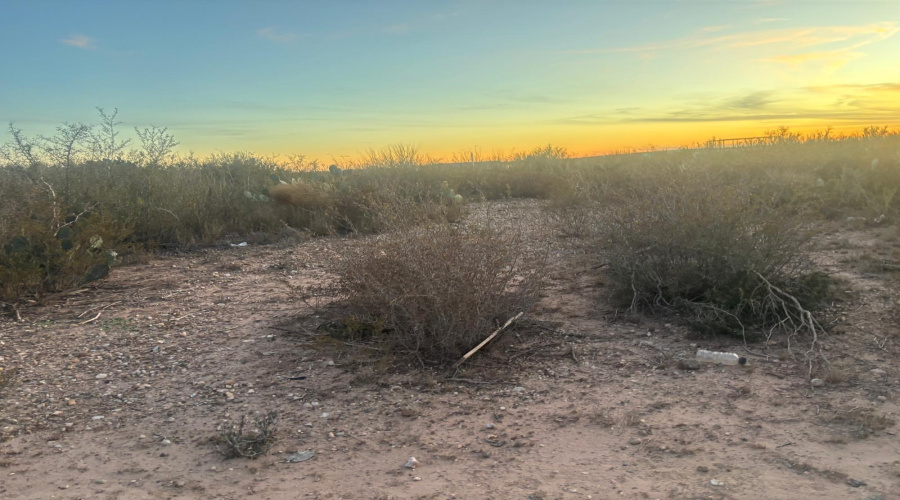 Lot 60 Los Fresnos, Laredo, Texas 78046, ,Land,For Sale,Lot 60 Los Fresnos,20262793