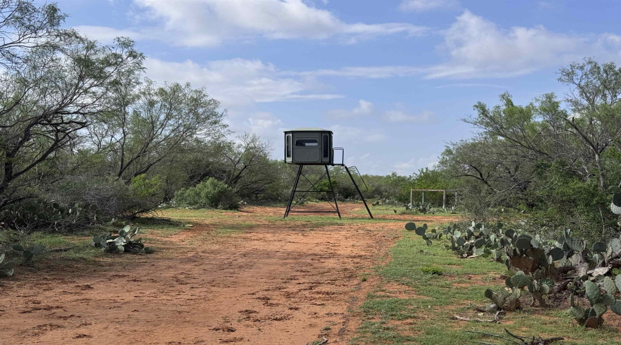 1365 Ranch Rd 6252B, Laredo, Texas 78045, ,Land,For Sale,1365 Ranch Rd 6252B,20262801