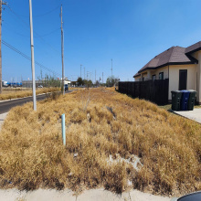 4501 Vanessita Crt, Laredo, Texas 78046, ,Land,For Sale,4501 Vanessita Crt,20262826
