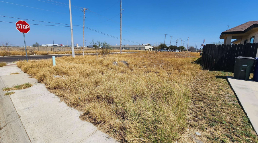 4501 Vanessita Crt, Laredo, Texas 78046, ,Land,For Sale,4501 Vanessita Crt,20262826