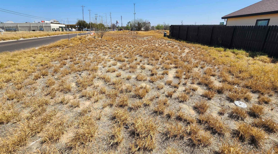 4501 Vanessita Crt, Laredo, Texas 78046, ,Land,For Sale,4501 Vanessita Crt,20262826