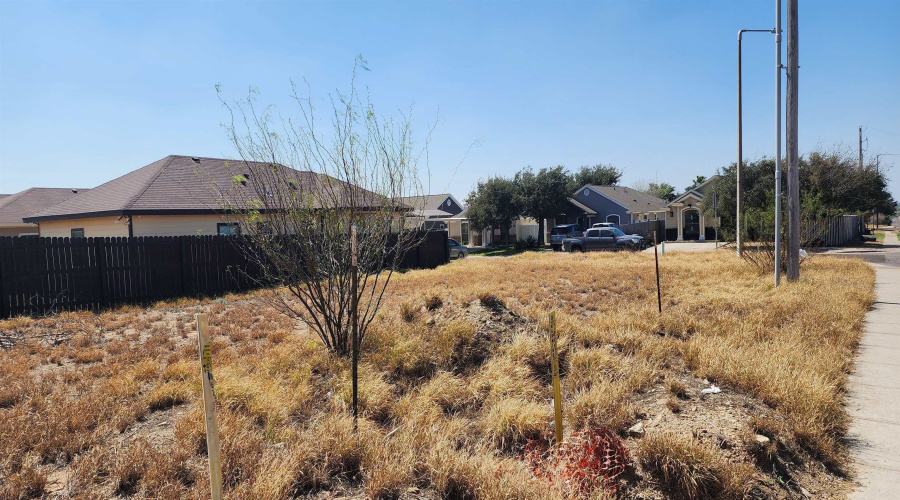 4501 Vanessita Crt, Laredo, Texas 78046, ,Land,For Sale,4501 Vanessita Crt,20262826