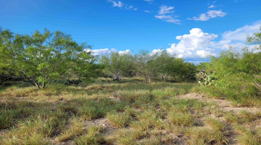 1000 Zapata Hwy, Laredo, Texas 78046, ,Land,For Sale,1000 Zapata Hwy,20253841
