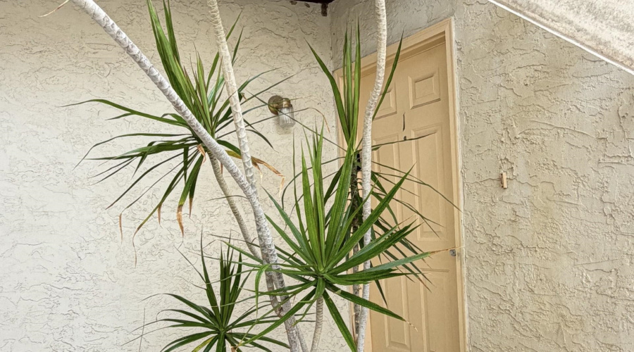 104 Belaire Dr, LAREDO, Texas 78041, 2 Bedrooms Bedrooms, 4 Rooms Rooms,2 BathroomsBathrooms,Residential,For Sale,104 Belaire Dr,20262909