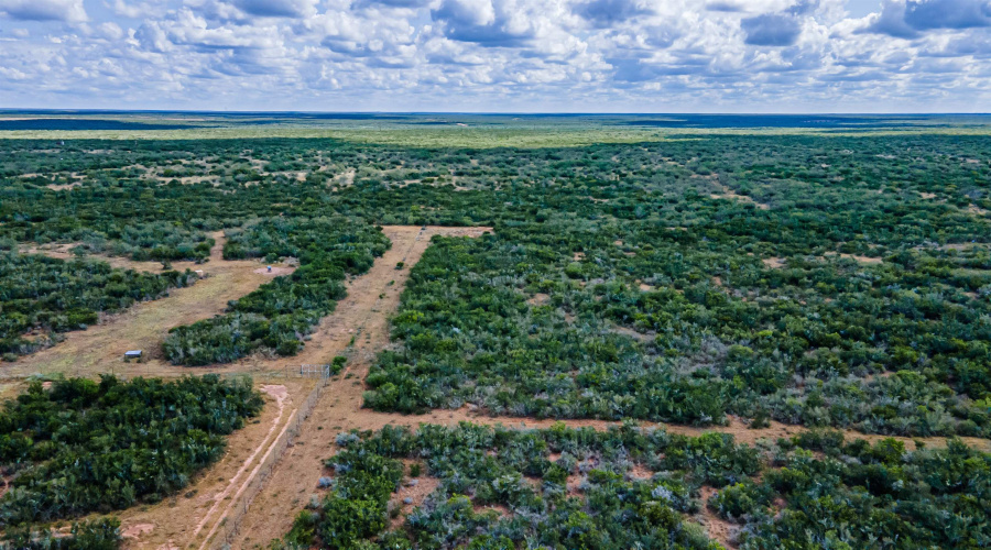 25998 State Hwy 359, Bruni, Texas 78344, 1 Bedroom Bedrooms, ,3 BathroomsBathrooms,Commercial/industrial,For Sale,25998 State Hwy 359,20262923