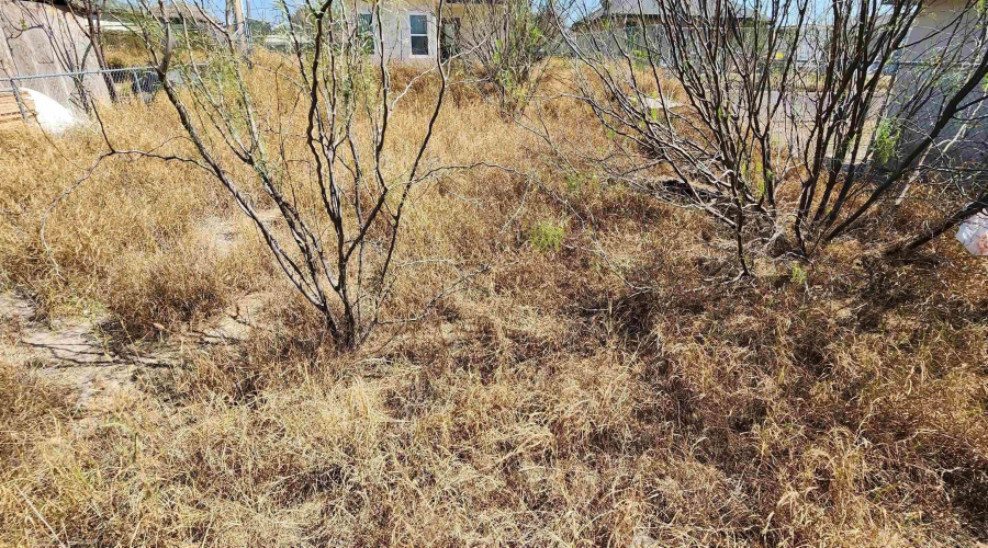 431 Riverview Dr, Laredo, Texas 78046, ,Land,For Sale,431 Riverview Dr,20262942