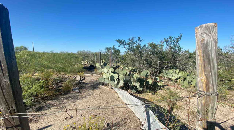 ABST 2156 SUR Las Pilas Rd., Laredo, Texas 78043, ,Land,For Sale,ABST 2156 SUR Las Pilas Rd.,20263006