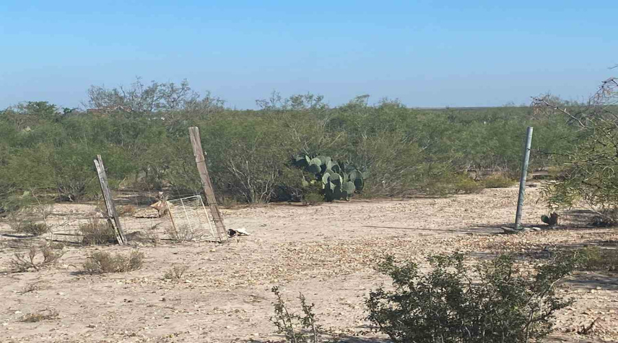 ABST 2156 SUR Las Pilas Rd., Laredo, Texas 78043, ,Land,For Sale,ABST 2156 SUR Las Pilas Rd.,20263006