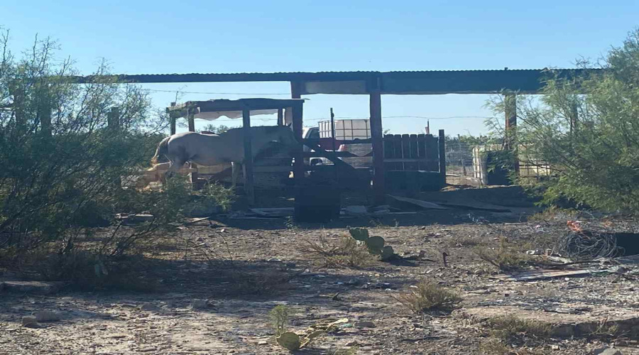ABST 2156 SUR Las Pilas Rd., Laredo, Texas 78043, ,Land,For Sale,ABST 2156 SUR Las Pilas Rd.,20263006