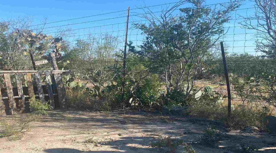 ABST 2156 SUR Las Pilas Rd., Laredo, Texas 78043, ,Land,For Sale,ABST 2156 SUR Las Pilas Rd.,20263006