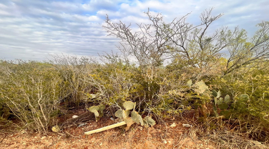 1 Acre Tract 17 Las Pilas Rd., Laredo, Texas 78043, ,Land,For Sale,1 Acre Tract 17 Las Pilas Rd.,20263008