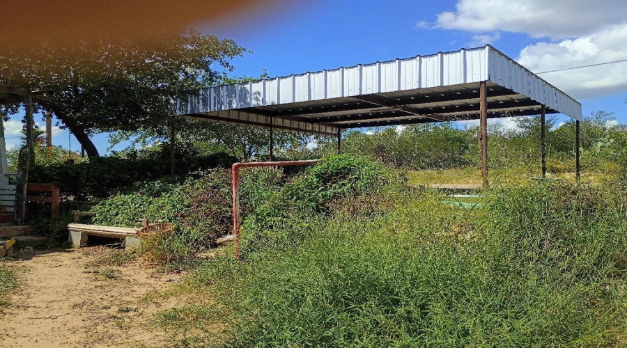 5317 Mercedes Ln., Zapata, Texas 78076, 3 Bedrooms Bedrooms, 5 Rooms Rooms,1 BathroomBathrooms,Residential,For Sale,5317 Mercedes Ln.,20263036