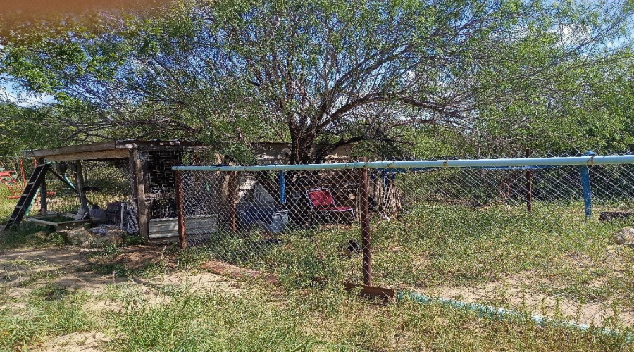 5317 Mercedes Ln., Zapata, Texas 78076, 3 Bedrooms Bedrooms, 5 Rooms Rooms,1 BathroomBathrooms,Residential,For Sale,5317 Mercedes Ln.,20263036