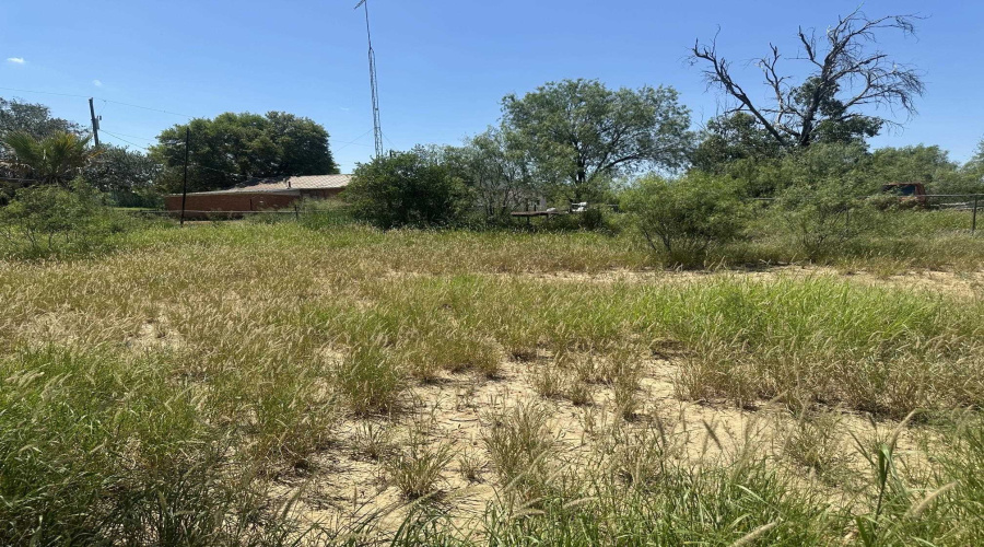 116 S Jab Dr., Zapata, Texas 78076, ,Land,For Sale,116 S Jab Dr.,20263051