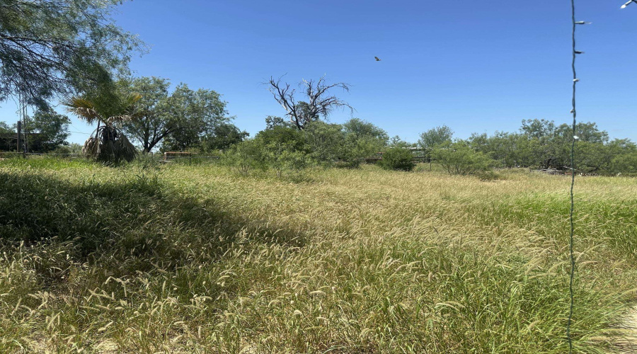 116 S Jab Dr., Zapata, Texas 78076, ,Land,For Sale,116 S Jab Dr.,20263051