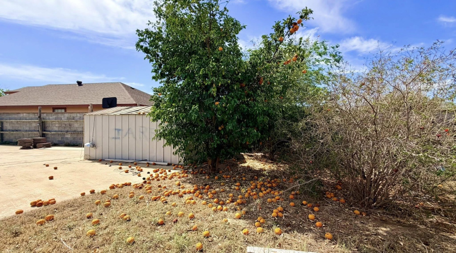 806 Cupid Ln, Laredo, Texas 78045, 3 Bedrooms Bedrooms, 6 Rooms Rooms,2 BathroomsBathrooms,Residential,For Sale,806 Cupid Ln,20261410