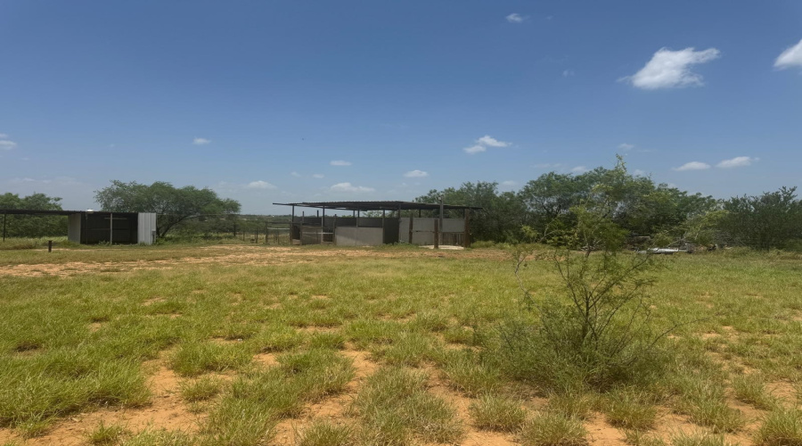 911 Pine Ave., Zapata, Texas 78076, 3 Bedrooms Bedrooms, 5 Rooms Rooms,2 BathroomsBathrooms,Residential,For Sale,911 Pine Ave.,20263060