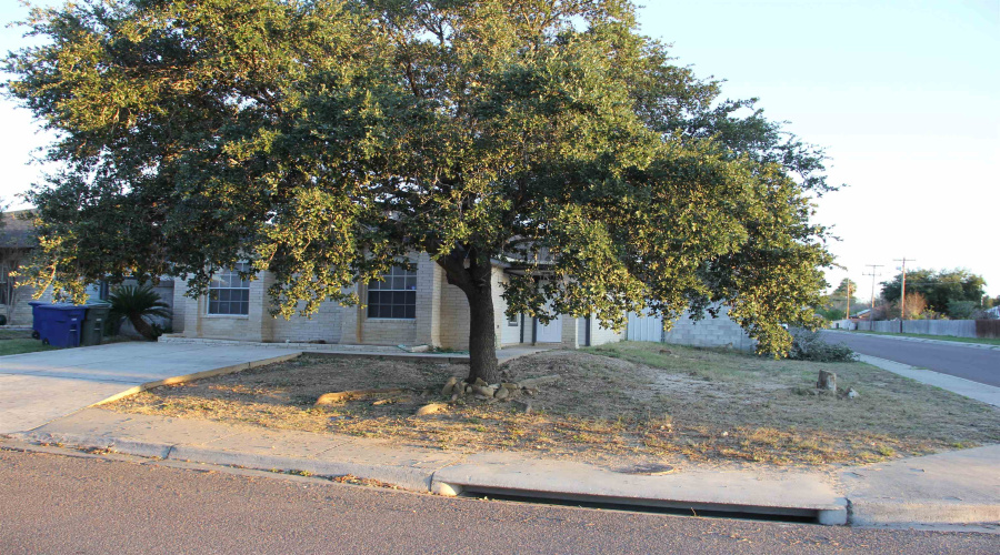 1801 Denmark Ln, Laredo, Texas 78045, 3 Bedrooms Bedrooms, 6 Rooms Rooms,2 BathroomsBathrooms,Residential,For Rent,1801 Denmark Ln,20263096