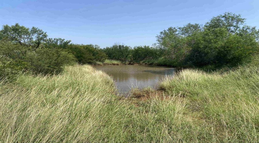 0000 IH-35 Access Rd, ENCINAL, Texas 78019, ,Land,For Sale,0000 IH-35 Access Rd,20263176