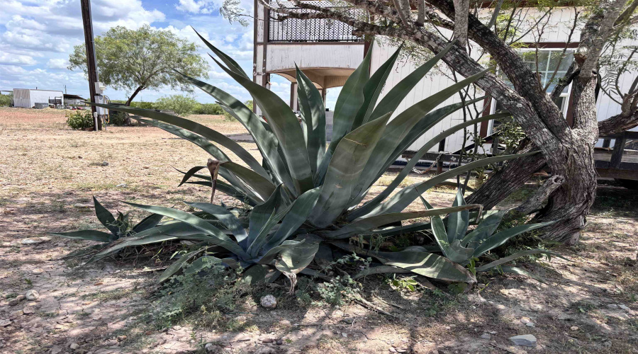 152 Los Fresnos Rd., Laredo, Texas 78041, ,Land,For Sale,152 Los Fresnos Rd.,20263191