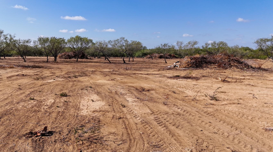 630 Los Huisaches Rd., Laredo, Texas 78045, ,Land,For Rent,630 Los Huisaches Rd.,20263209