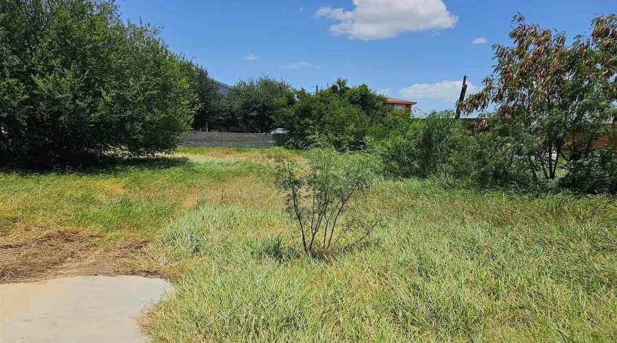 3218 Boulanger St, Laredo tx 78043, Texas 78043, ,Land,For Sale,3218 Boulanger St,20263231