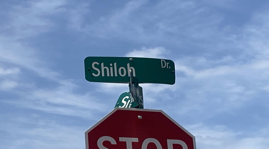 001 Shiloh Dr, LAREDO, Texas 78045, ,Land,For Sale,001 Shiloh Dr,20263234