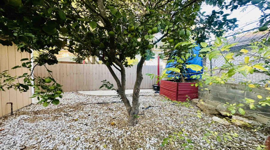3023 Potomac Lp, Laredo, Texas 78046, 1 Bedroom Bedrooms, 2 Rooms Rooms,1 BathroomBathrooms,Residential,For Rent,3023 Potomac Lp,20263239